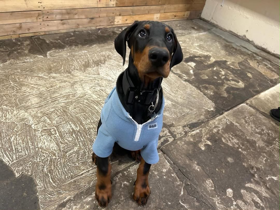 Karli sitting in a blue jumper