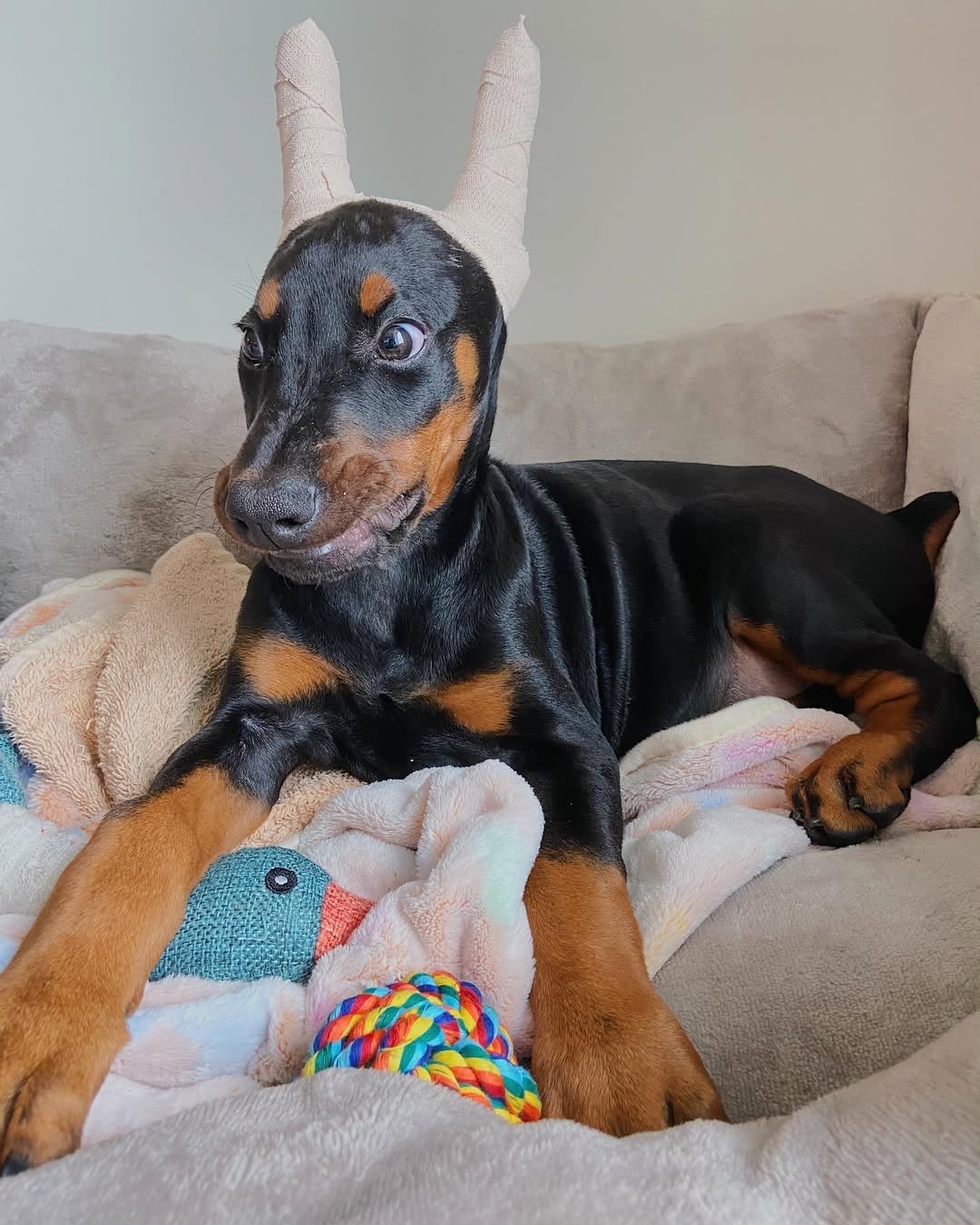 Nia relaxing at home